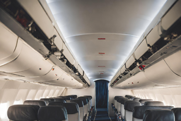 Bulkhead In Flight Bulkhead Seat: What It Is and Why You Should Consider It – Flying With ...